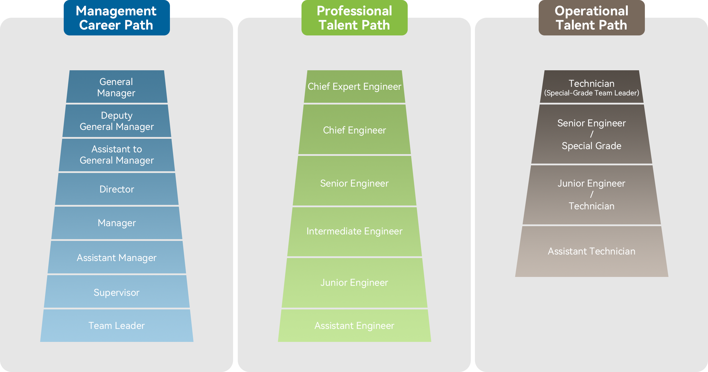Talent Development Overview