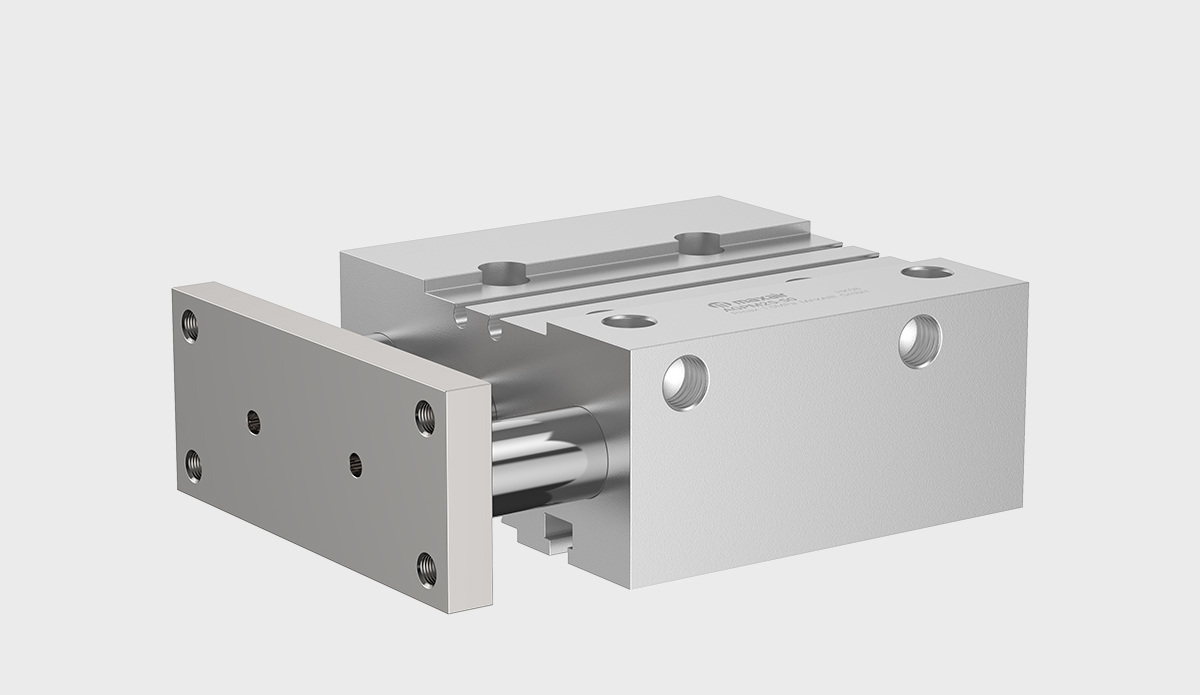 AGP Guide rod cylinder