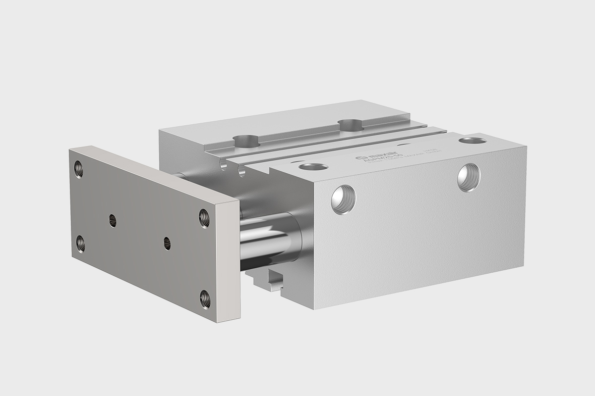 AGP Guide rod cylinder